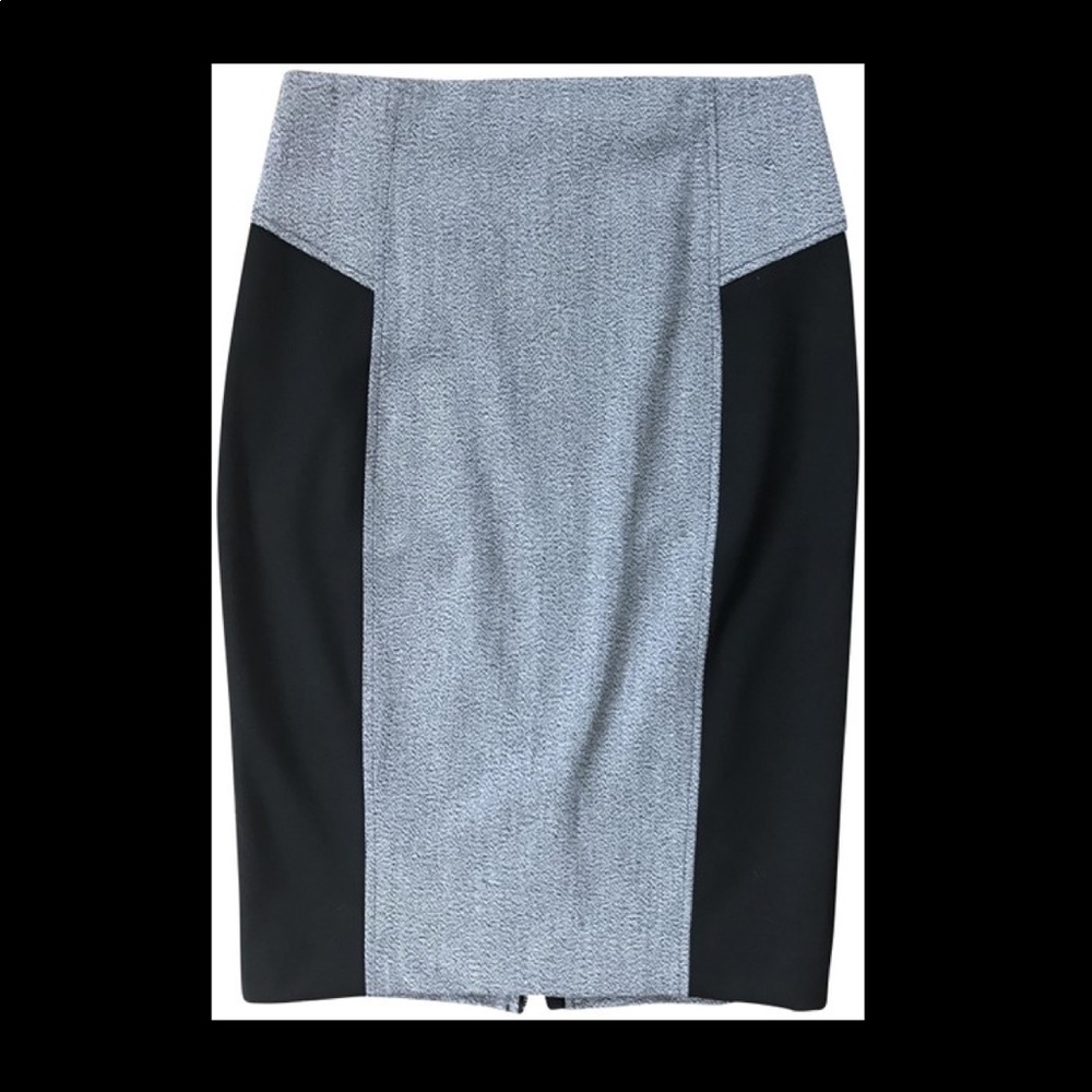 Express Pencil Skirt